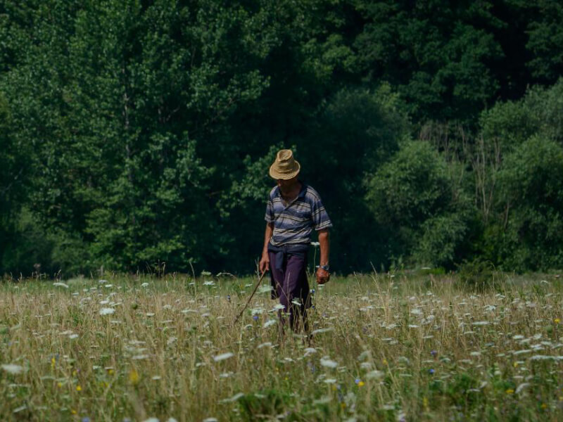 Country Profile Slovenia